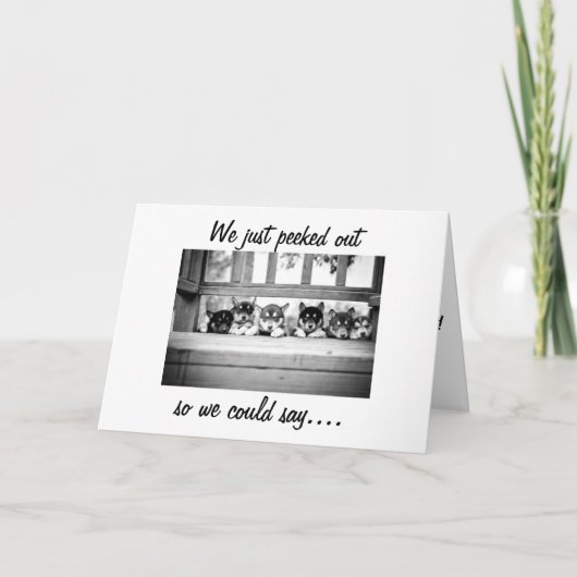 HUSKY-PUPPIES ZEGGEN DAT JE FEESTDAGEN HELDER MOGE KAART (Voorkant)