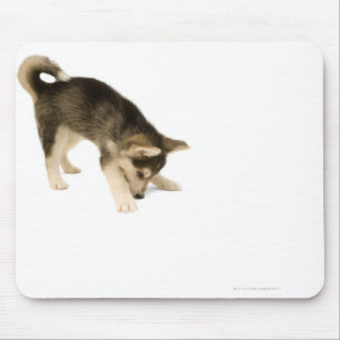Husky Puppy 2 Muismat