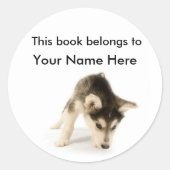 Husky Puppy Bookplate Sticker (Voorkant)