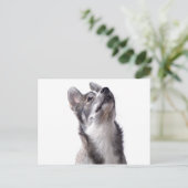 Husky puppy briefkaart (Staand voorkant)