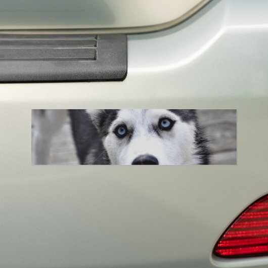 Husky Puppy Bumpersticker (Op auto)