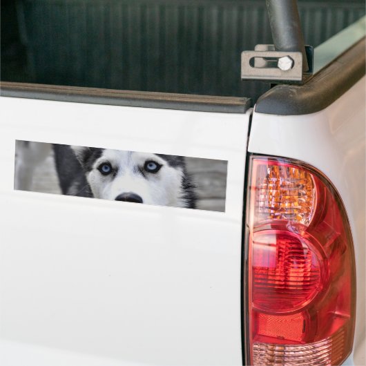 Husky Puppy Bumpersticker (Op Truck)