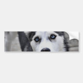 Husky Puppy Bumpersticker (Voorkant)