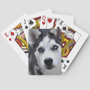 Husky Puppy Deck of Cards Speelkaarten
