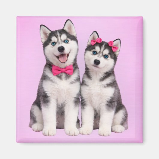 Husky Puppy Liefde Valentijn Magnet (Voorkant)