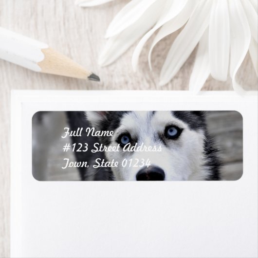 Husky Puppy Mailing Labels (Insitu)
