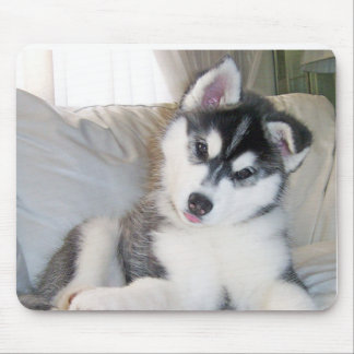 Husky Puppy Mousepad Muismat
