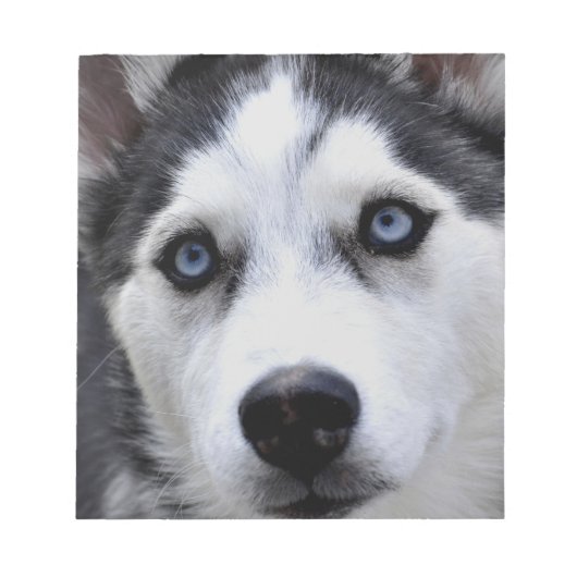 Husky Puppy Notitieblok (Voorkant)
