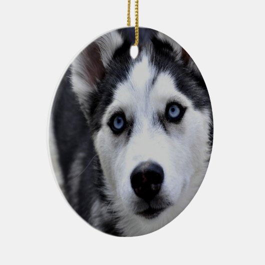 Husky Puppy Ornament (Rechts)
