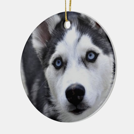 Husky Puppy Ornament (Links)
