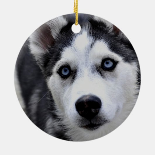 Husky Puppy Ornament (Achterkant)