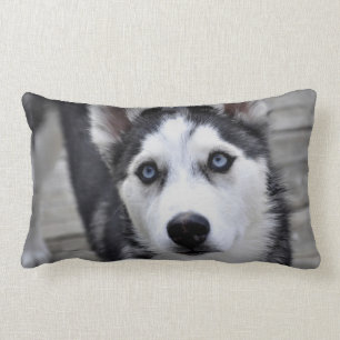 Husky Puppy Pillow Kussen