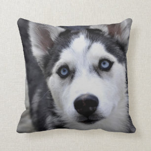 Husky Puppy Pillow Kussen
