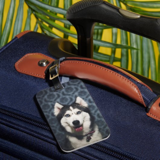 Husky Puppy Posing met een donkere achtergrond Bagagelabel (Voorkant Insitu 1)