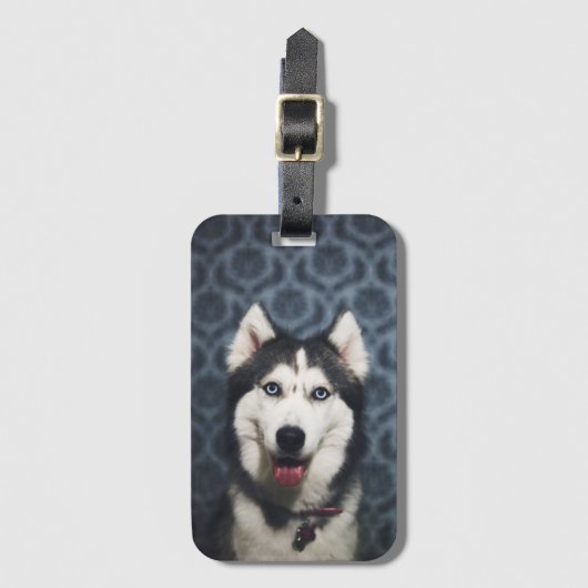 Husky Puppy Posing met een donkere achtergrond Bagagelabel (Voorkant (verticaal))