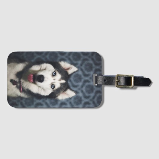 Husky Puppy Posing met een donkere achtergrond Bagagelabel (Voorkant (horizontaal))