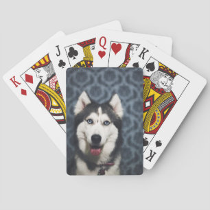 Husky Puppy Posing met een donkere achtergrond Pokerkaarten