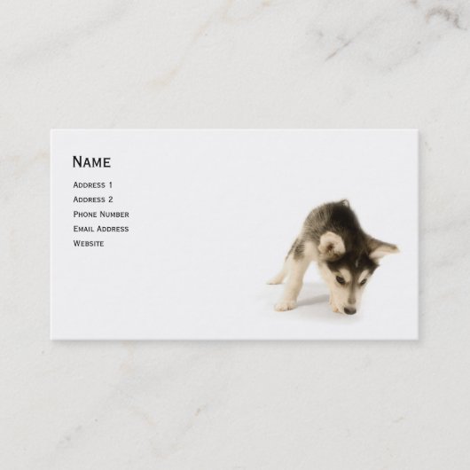 Husky Puppy Profile Card Visitekaartje (Voorkant)