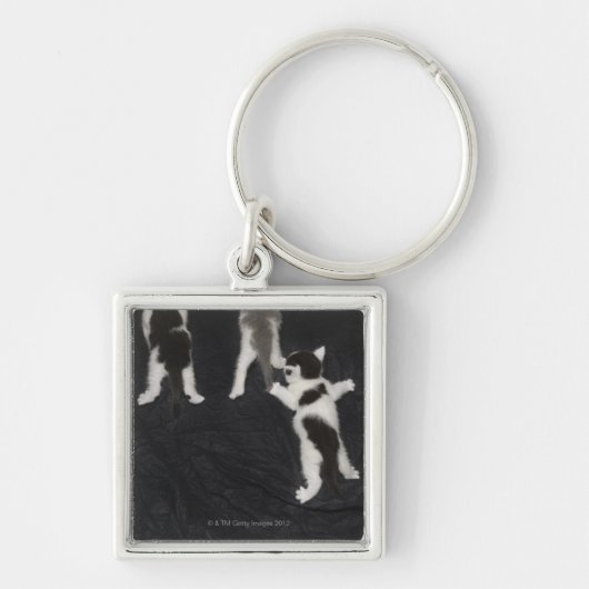 Husky Puppy Sleutelhanger (Voorkant)