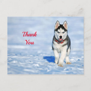 Husky Puppy Sneeuw Foto Bedankt Briefkaart