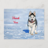 Husky Puppy Sneeuw Foto Bedankt Briefkaart (Voorkant)