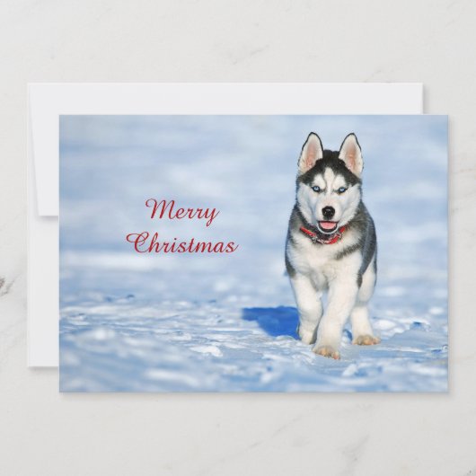 Husky Puppy Snow-foto met Kerstmis Feestdagenkaart (Voorkant)