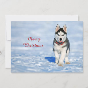 Husky Puppy Snow-foto met Kerstmis Feestdagenkaart