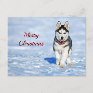 Husky Puppy Snow-kerstfoto Briefkaart
