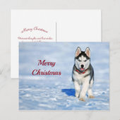 Husky Puppy Snow-kerstfoto Briefkaart (Voorkant / Achterkant)