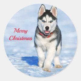 Husky Puppy Snow-kerstfoto Ronde Sticker
