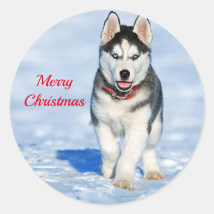 Husky Puppy Snow-kerstfoto Ronde Sticker