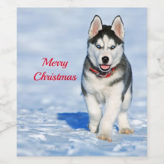 Husky Puppy Snow-kerstfoto Wijn Etiket (Enkel label)