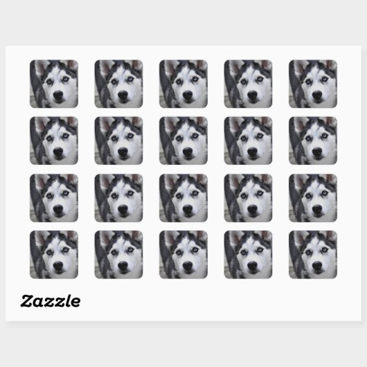 Husky Puppy Stickers (Vel)