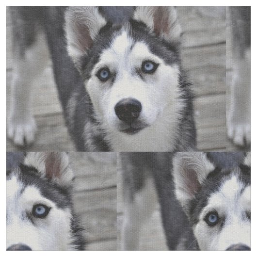 Husky Puppy Stof (Close Up)