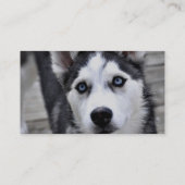 Husky Puppy Visitekaartjes (Achterkant)