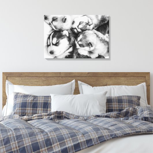 Husky pups in de sluimer canvas afdruk (Insitu (Slaapkamer))