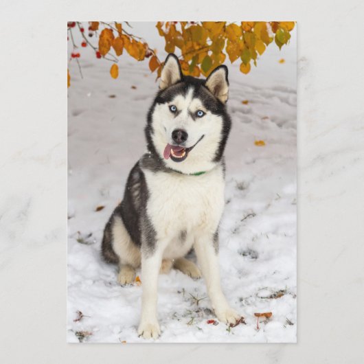 Husky Reep Menu (Achterkant)