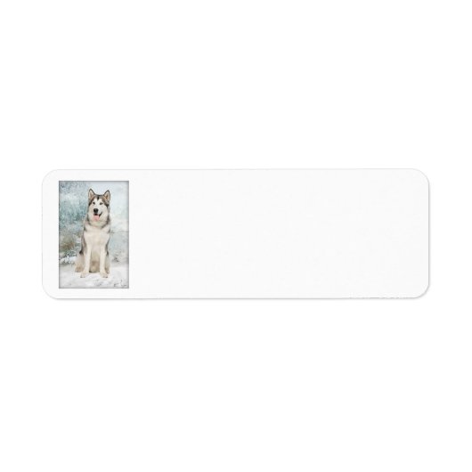 Husky Return Address Labels (Voorkant)
