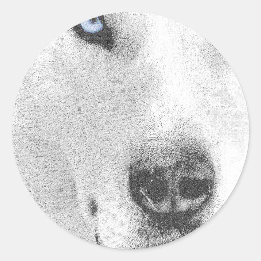 Husky Ronde Sticker (Voorkant)