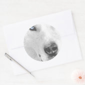 Husky Ronde Sticker (Envelop)
