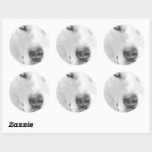 Husky Ronde Sticker (Vel)