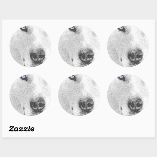 Husky Ronde Sticker (Vel)