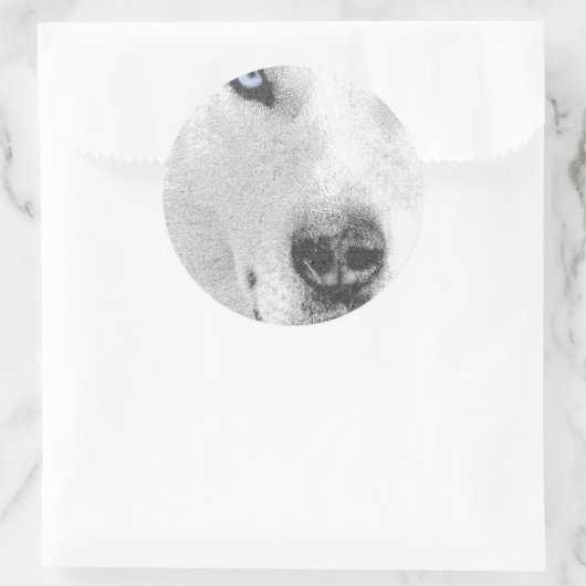 Husky Ronde Sticker (Tas)