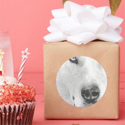 Husky Ronde Sticker (Feest)