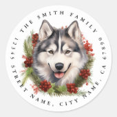 Husky ronde Stickers (Voorkant)