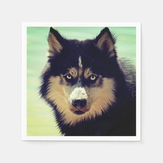 Husky Servet (Voorkant)