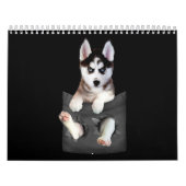 Husky | Siberië Husky in Pocket Puppy Kalender (Hoes)
