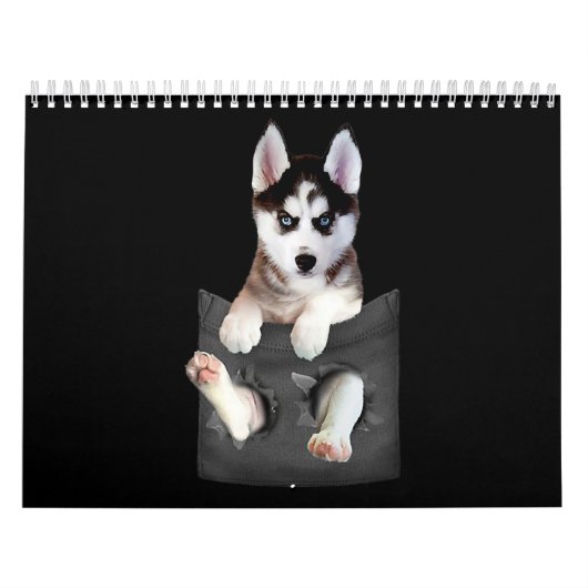 Husky | Siberië Husky in Pocket Puppy Kalender (Hoes)