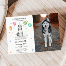 Husky Sibir Hond Pawty Puppy Verjaardag Roze Foto