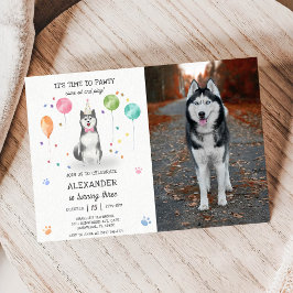 Husky Sibir Hond Pawty Puppy Verjaardag Roze Foto Kaart